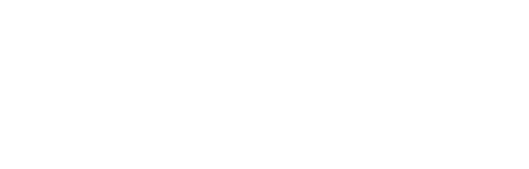 Blume Link Logo in White